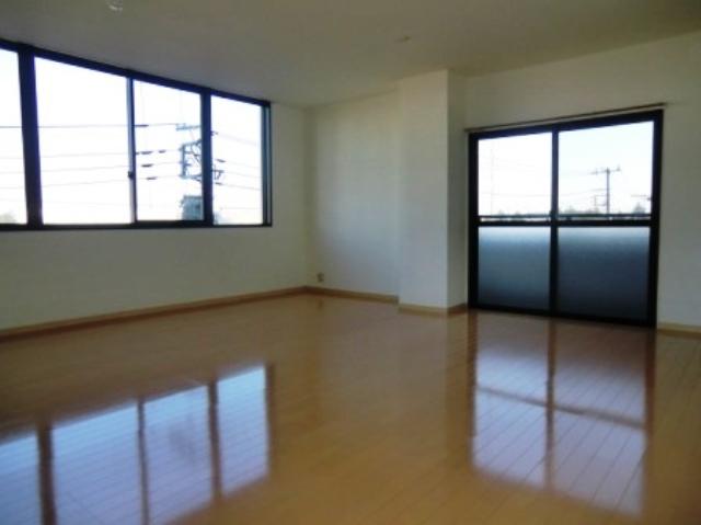 稀少な広め１Ｒ【ウイング】