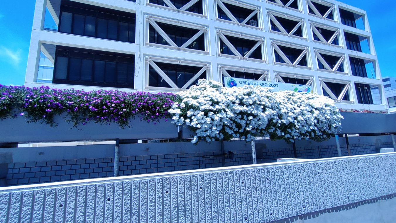 【保土ヶ谷区】区役所を彩る花々