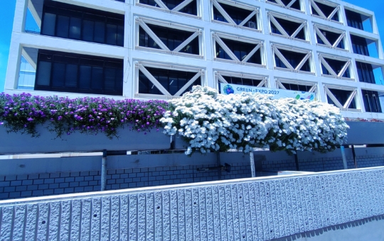 【保土ヶ谷区】区役所を彩る花々