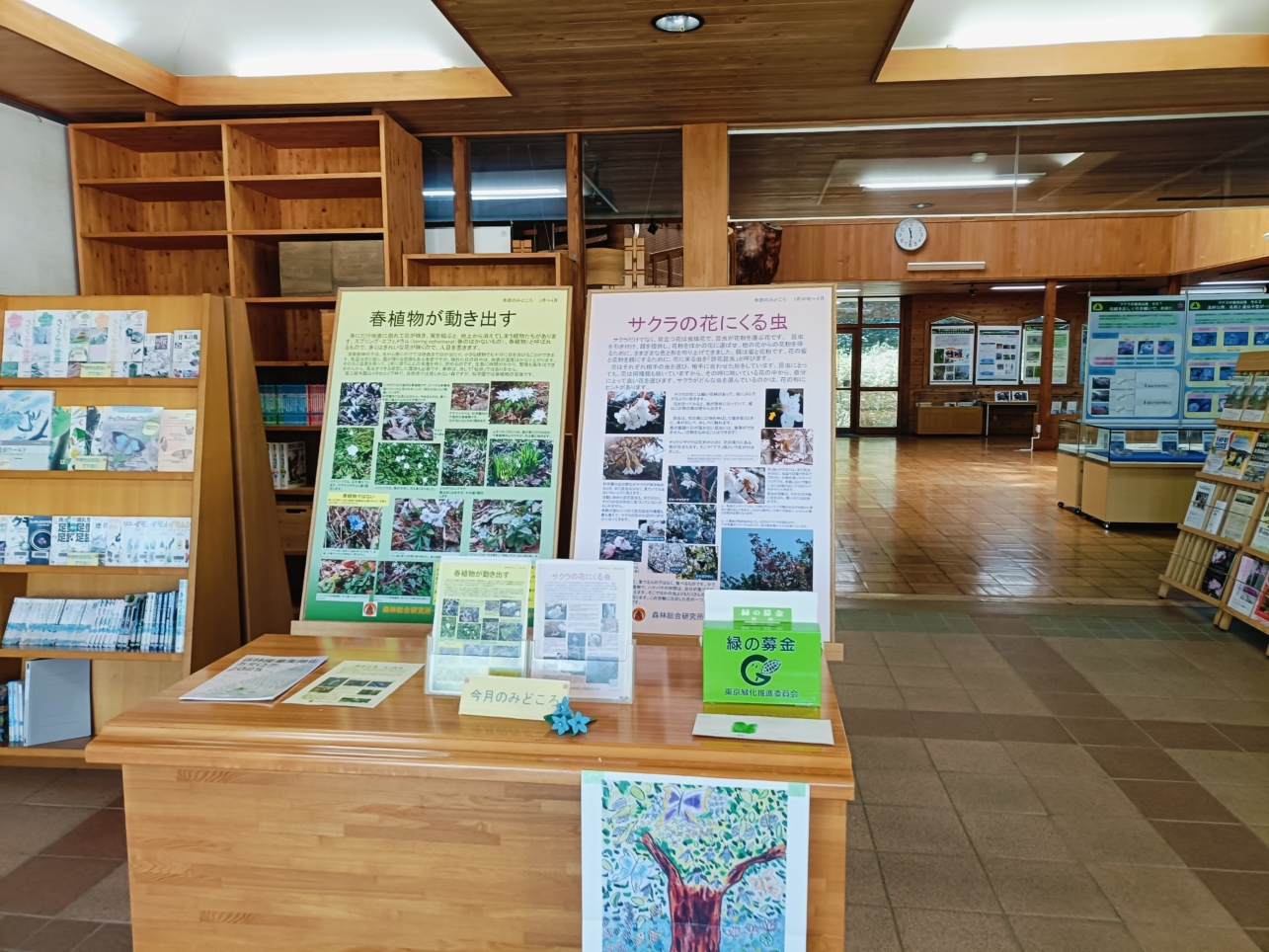 里山風の花見【森林総合研究所】
