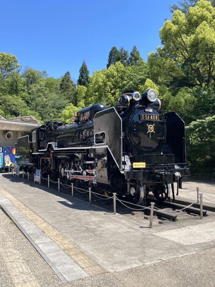 近場で楽しめるイベントいっぱい！！【生田緑地】