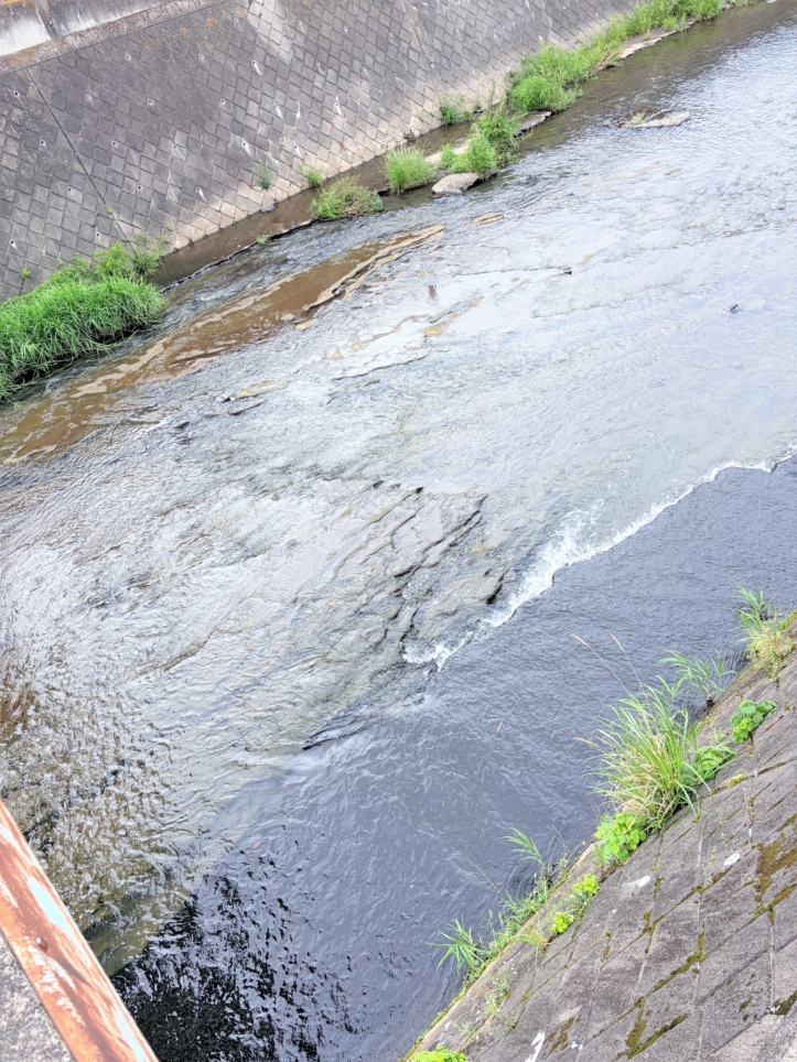 心癒やされる水辺の特等席！鶴見川に架かる「川井田人道橋」♪