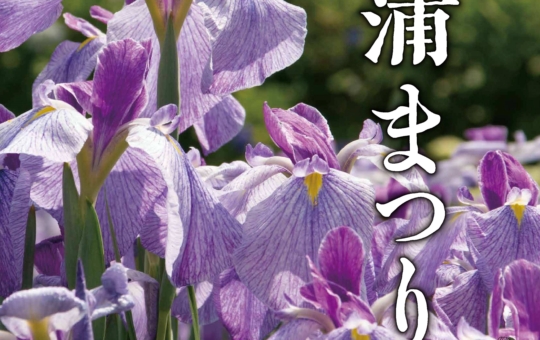 第38回東村山菖蒲まつり♪