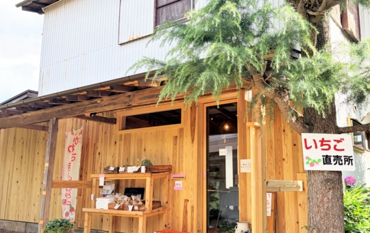 新鮮な恵みと可愛いお花に出会える！岡上の野菜・果物直売所♪
