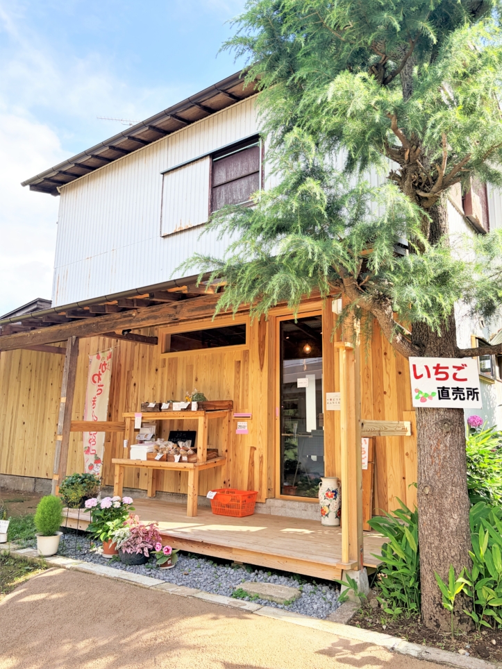 新鮮な恵みと可愛いお花に出会える！岡上の野菜・果物直売所♪