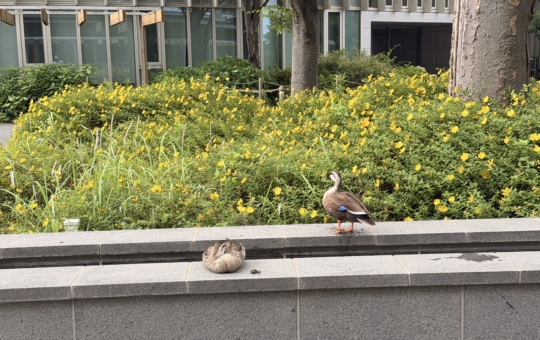 6月なのにもう！？