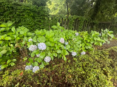 茗荷谷で見つけた！不思議なオブジェが並ぶ窪町東公園