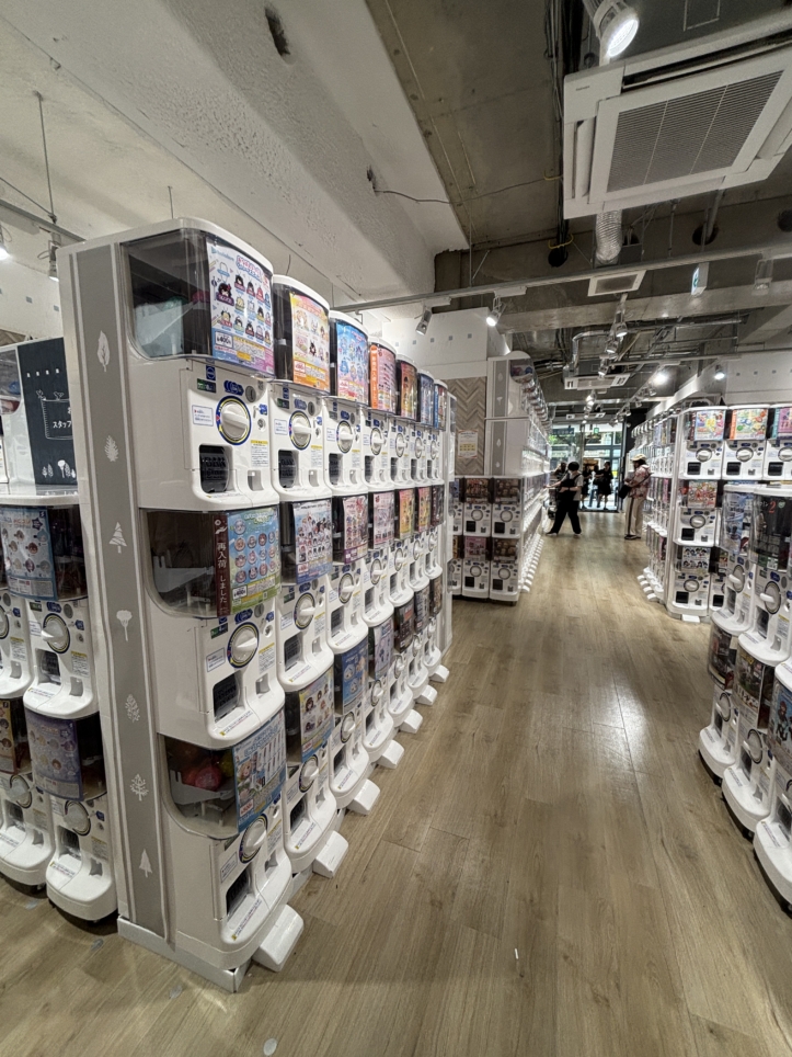 ５００台超え！【ガチャガチャの森自由が丘店】