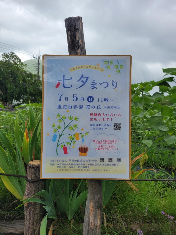 蘆花恒春園🎋七夕まつり