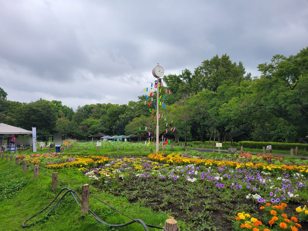 蘆花恒春園🎋七夕まつり