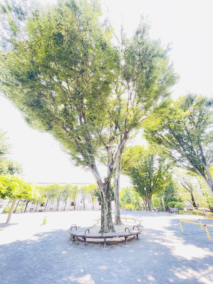 【保土ヶ谷区】笹山東公園