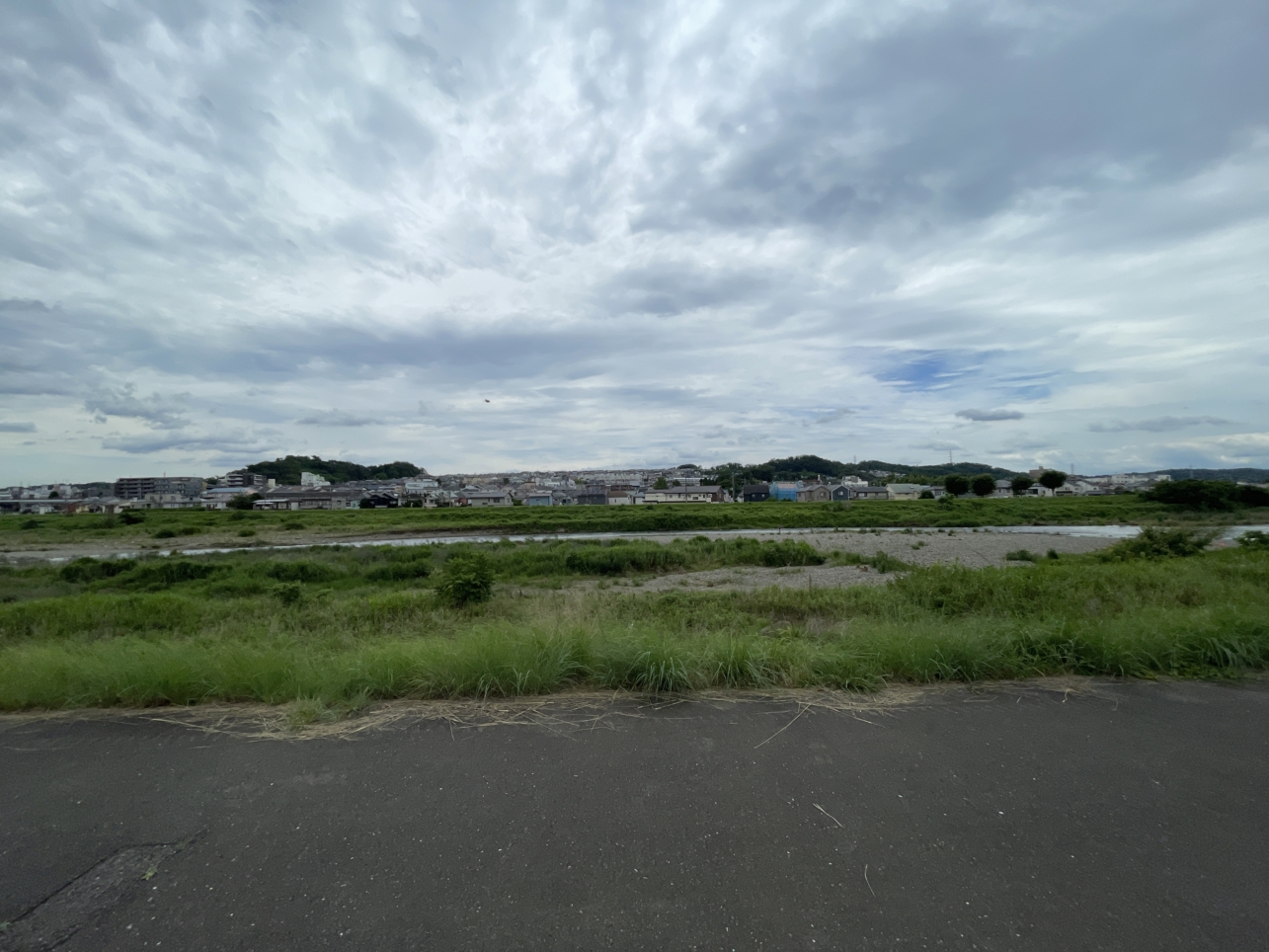 駒形公園☆日野市　ドッグラン・公園☆