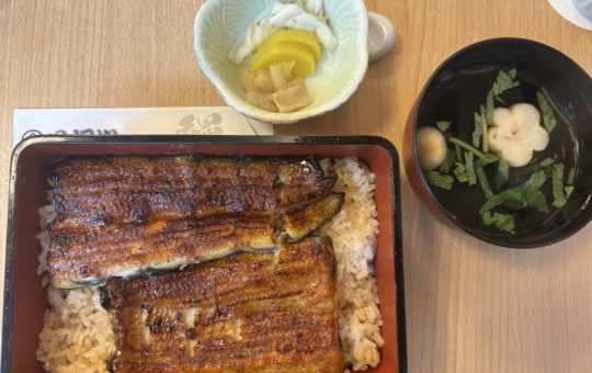 老舗の鰻屋さん♪【八沢川】