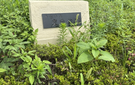 多摩市立交通公園　☆多摩市　公園☆