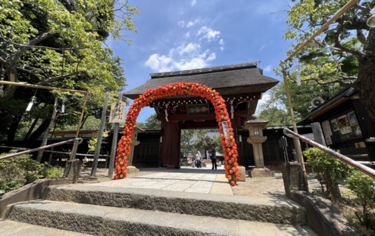 深大寺散歩