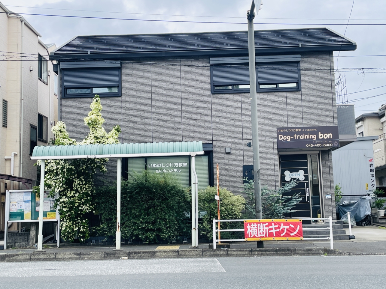 【保土ヶ谷区】ドッグトレーニング ボン