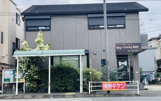 【保土ヶ谷区】ドッグトレーニング ボン