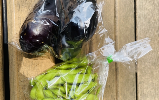 【旭区】朝とれたばかりの新鮮野菜の無人野菜販売所　