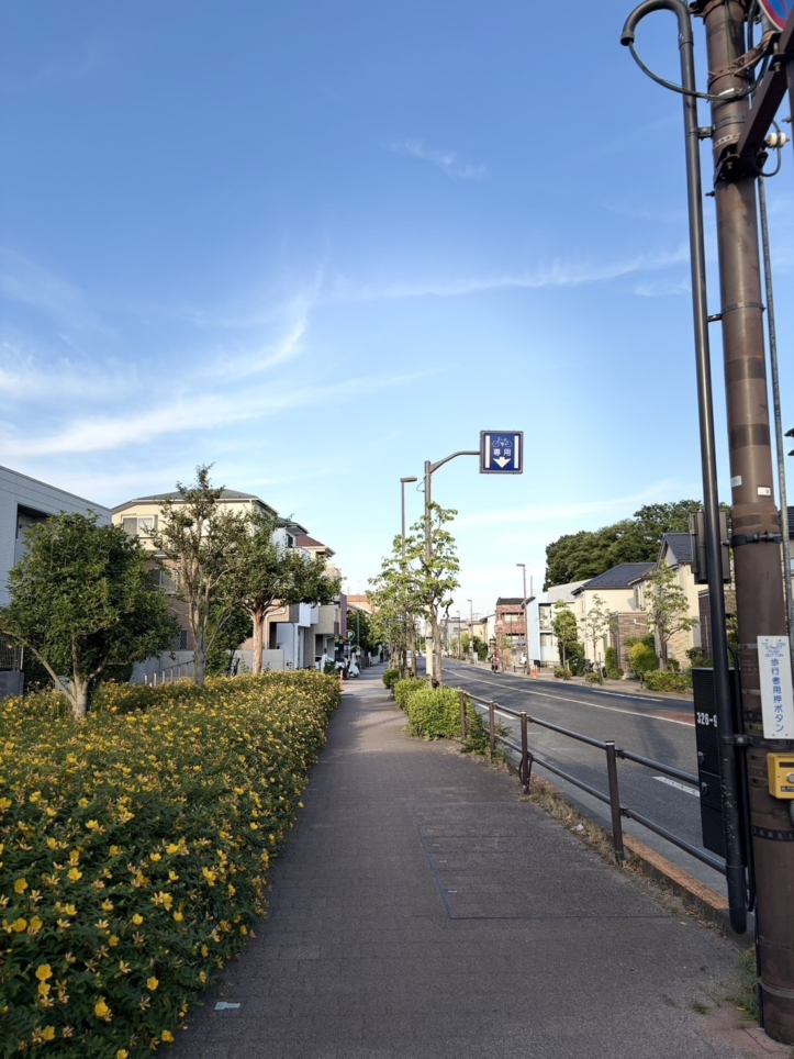 ☆道路～おさんぽ～松原☆