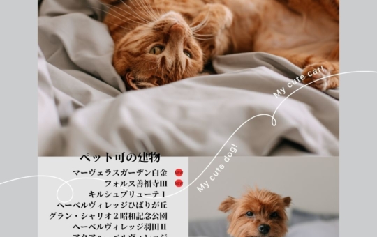 ペットも大事な家族です。