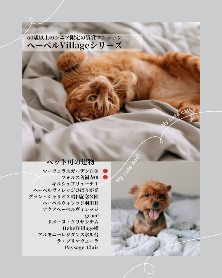 ペットも大事な家族です。