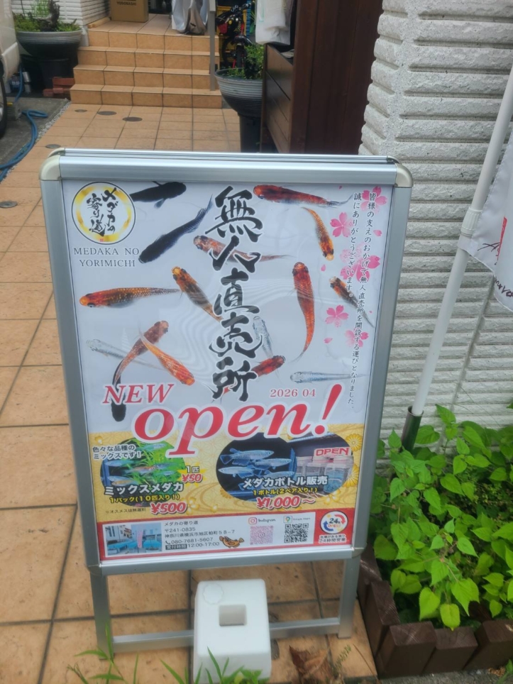 【メダカの寄り道無人直売所】涼し気でカワイイめだかの学校？