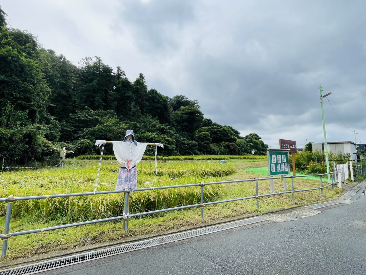 【ほどがや☆元気村】日本の原風景をバトンタッチ