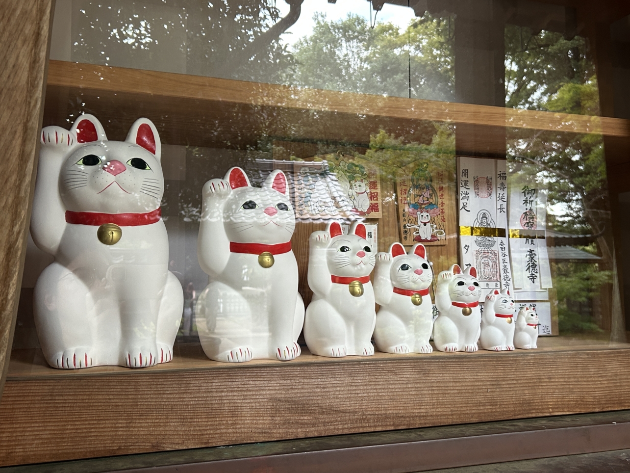 豪徳寺駅を歩く、多くの外国人観光客のお目当ては…？🐈