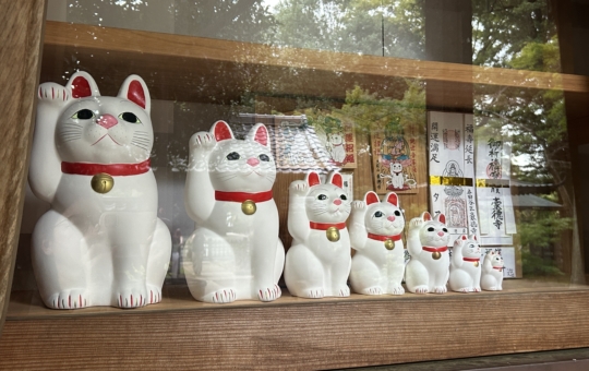 豪徳寺駅を歩く、多くの外国人観光客のお目当ては…？🐈