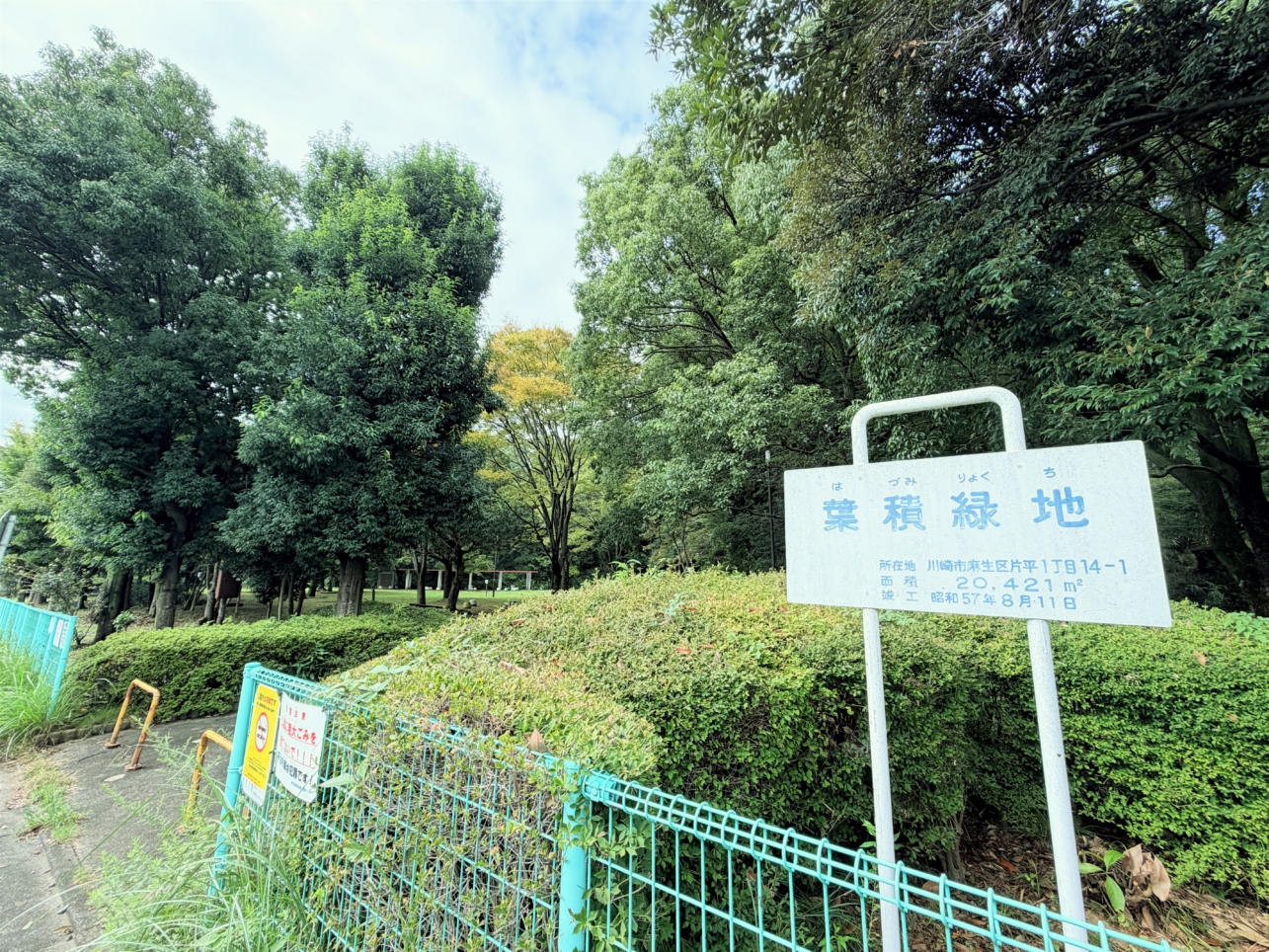 自然の息吹を感じる癒やしの空間！葉積緑地♪