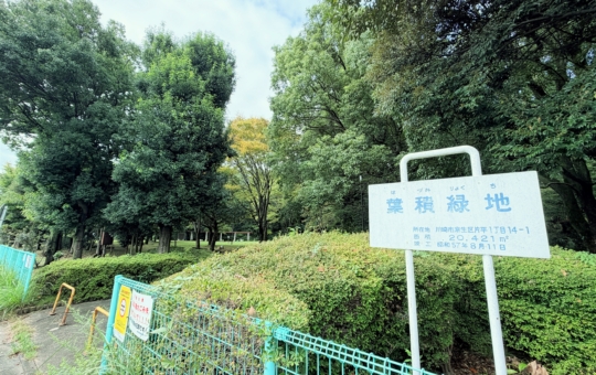自然の息吹を感じる癒やしの空間！葉積緑地♪
