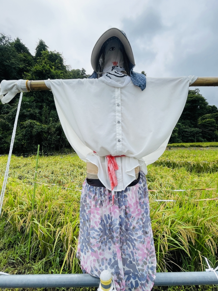 【ほどがや☆元気村】日本の原風景をバトンタッチ