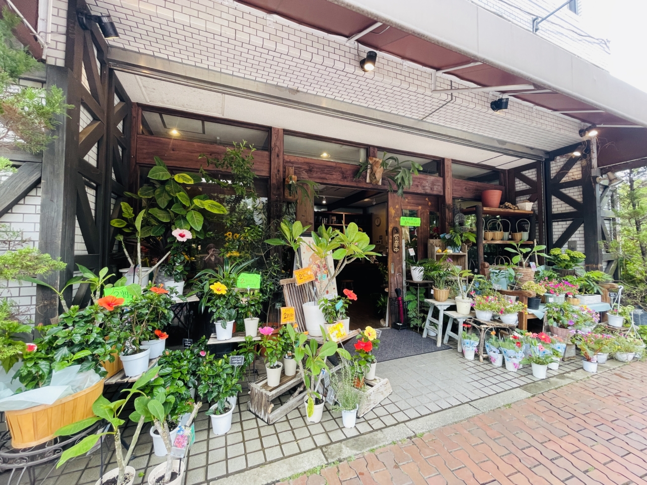 【ゆりの木 東戸塚店】好きな花を選んでレッスンもできるお花屋さん