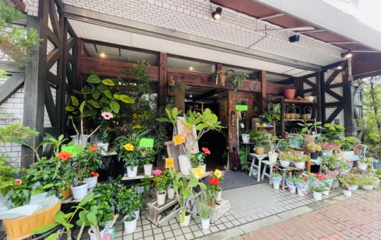 【ゆりの木 東戸塚店】好きな花を選んでレッスンもできるお花屋さん